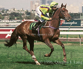 Arctic Scent (24686 bytes)