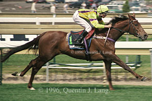 Arctic Scent (23677 bytes)