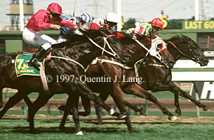 austcup1997(oct).jpg (27212 bytes)