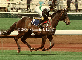 betterloosenup.jpg (21926 bytes)