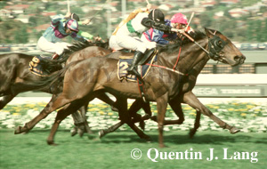 blup.jpg (45969 bytes)