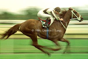 Bonecrusher (16912 bytes)