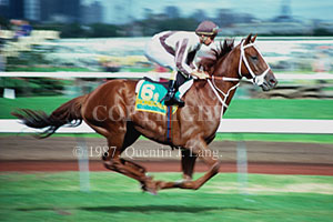 Bonecrusher  (21835 bytes)