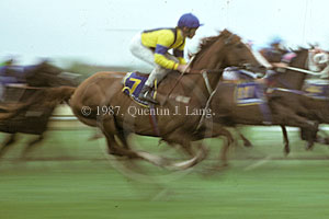 Lord Reims (25441 bytes)