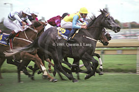 Cole Diesel (18308 bytes)