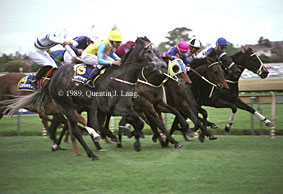 Cole Diesel (18832 bytes)