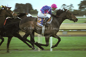 Sydeston (25441 bytes)