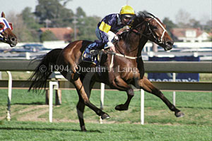 Paris Lane (23452 bytes)