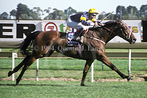 Paris Lane (25278 bytes)