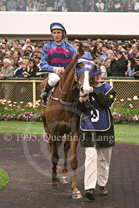 Doriemus (25278 bytes)