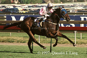 Might and Power (25441 bytes)