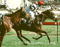 Taufan's Melody (16299 bytes)