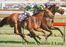 ccup1999.jpg (23532 bytes)