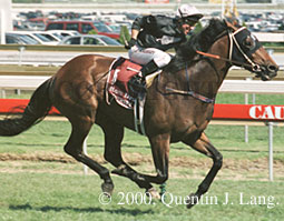 Diatribe (21756 bytes)