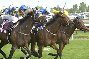 ccup2001(2).jpg (25863 bytes)