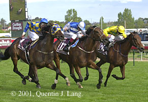 ccup2001.jpg (24416 bytes)