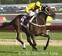 ccup2002(2).jpg (23845 bytes)