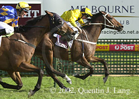 ccup2002.jpg (26190 bytes)