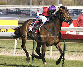 Mummify (26190 bytes)