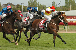 Elvstroem (26190 bytes)