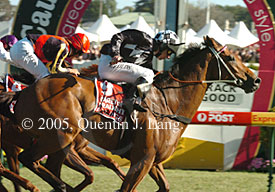 Railings (27053 bytes)