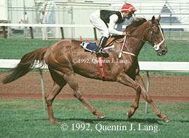 chsuperimpose.jpg (13984 bytes)