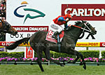 Cox Plate 2004 (10371 bytes)