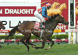 Makybe Diva
