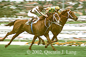 Cox Plate 1986 (26880 bytes)