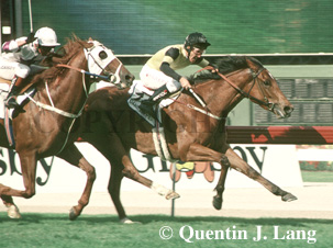 daneripper.jpg (48140 bytes)