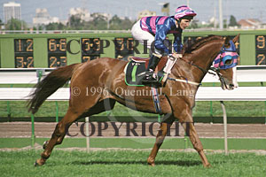 Doriemus (24890 bytes)