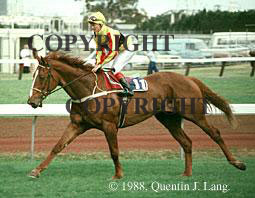 empirerose.jpg (14032 bytes)