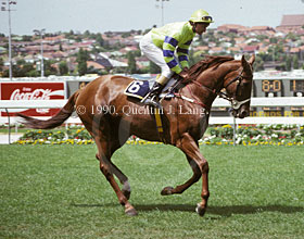 Imposera (28092 bytes)