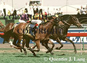 jezzabeeelmcup.jpg (17859 bytes)