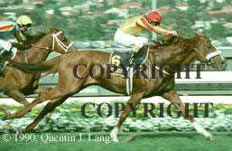 kingstonrulemcup.jpg (13344 bytes)