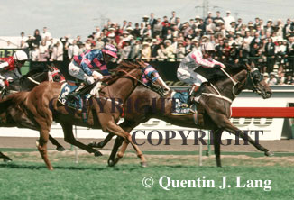 mandpmcup.jpg (57434 bytes)