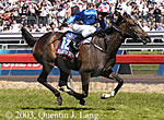 Makybe Diva (11021 bytes)