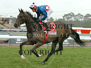 Makybe Diva