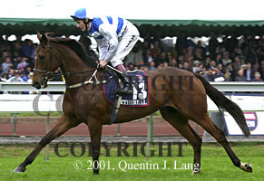 melbcup2001(2).jpg (22690 bytes)