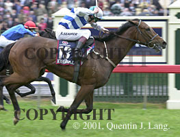 melbcup2001.jpg (20605 bytes)