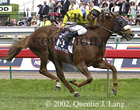 melbcup2002.jpg (28000 bytes)