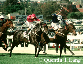 octagonal.jpg (60886 bytes)