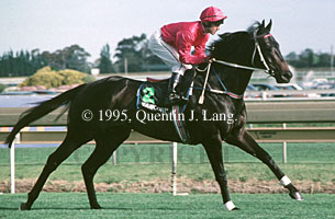 octagonal2.jpg (22848 bytes)