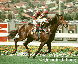 opprince.jpg (65248 bytes)