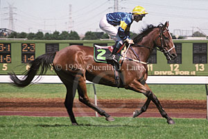 Paris Lane (23352 bytes)