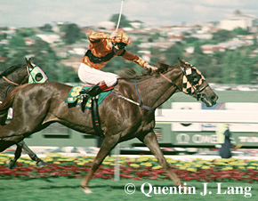 phchance.jpg (52089 bytes)