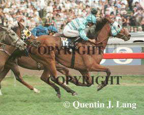 Rogan Josh (16512 bytes)