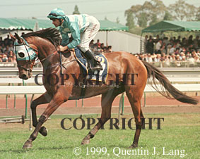 Rogan Josh (26029 bytes)