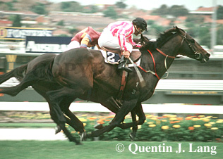 rubiton.jpg (49194 bytes)