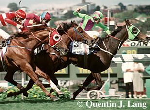 solvit.jpg (64690 bytes)